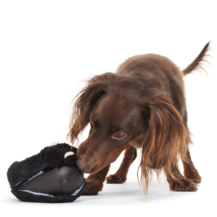 BARK - Super Chewer Black Bear Dog Toy