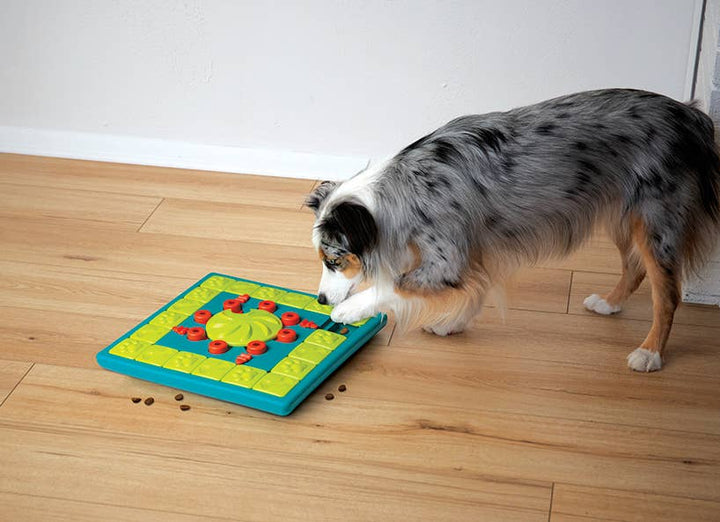 Nina Ottosson - MultiPuzzle Interactive Treat Dog Puzzle Toy