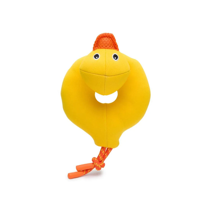 Floatie Duck Dog Toy