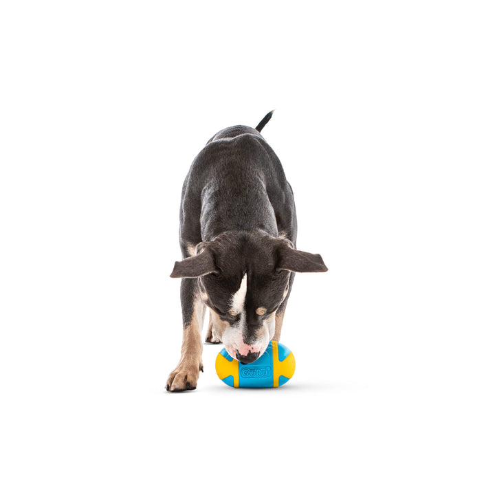 GURU Pet - Rock 'N Treat Interactive Dog Toy