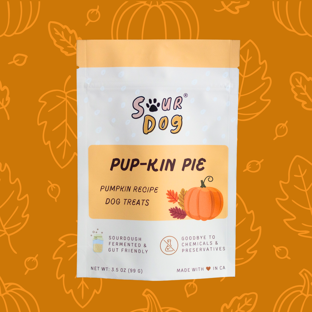 SourDog - Pupkin Pie: Pumpkin Sourdough Dog Treats 3.5oz