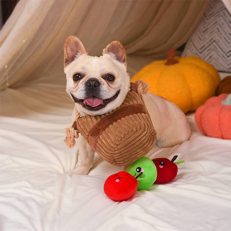 Dog Toy: Apple Basket Interactive Toy