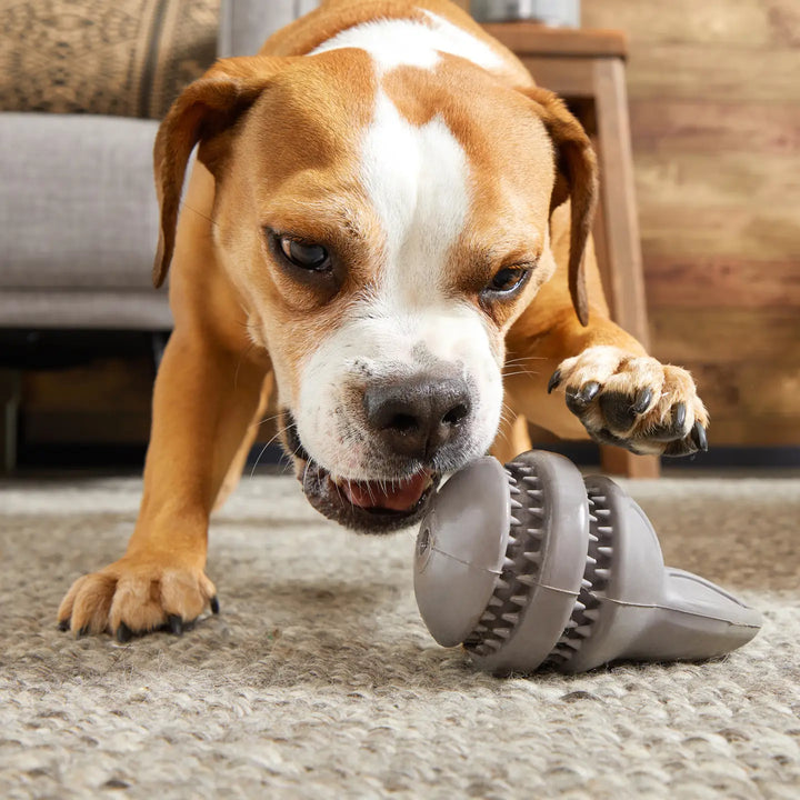 Dog Toy: BARK - Hare Raiser Rabbit Super Chewer