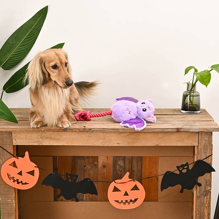 Dog Toy: Howl-o-Ween Bat Plush