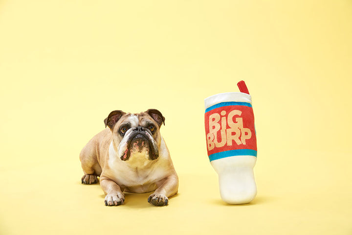 Dog Toy: BARK - Big Burp Slurp