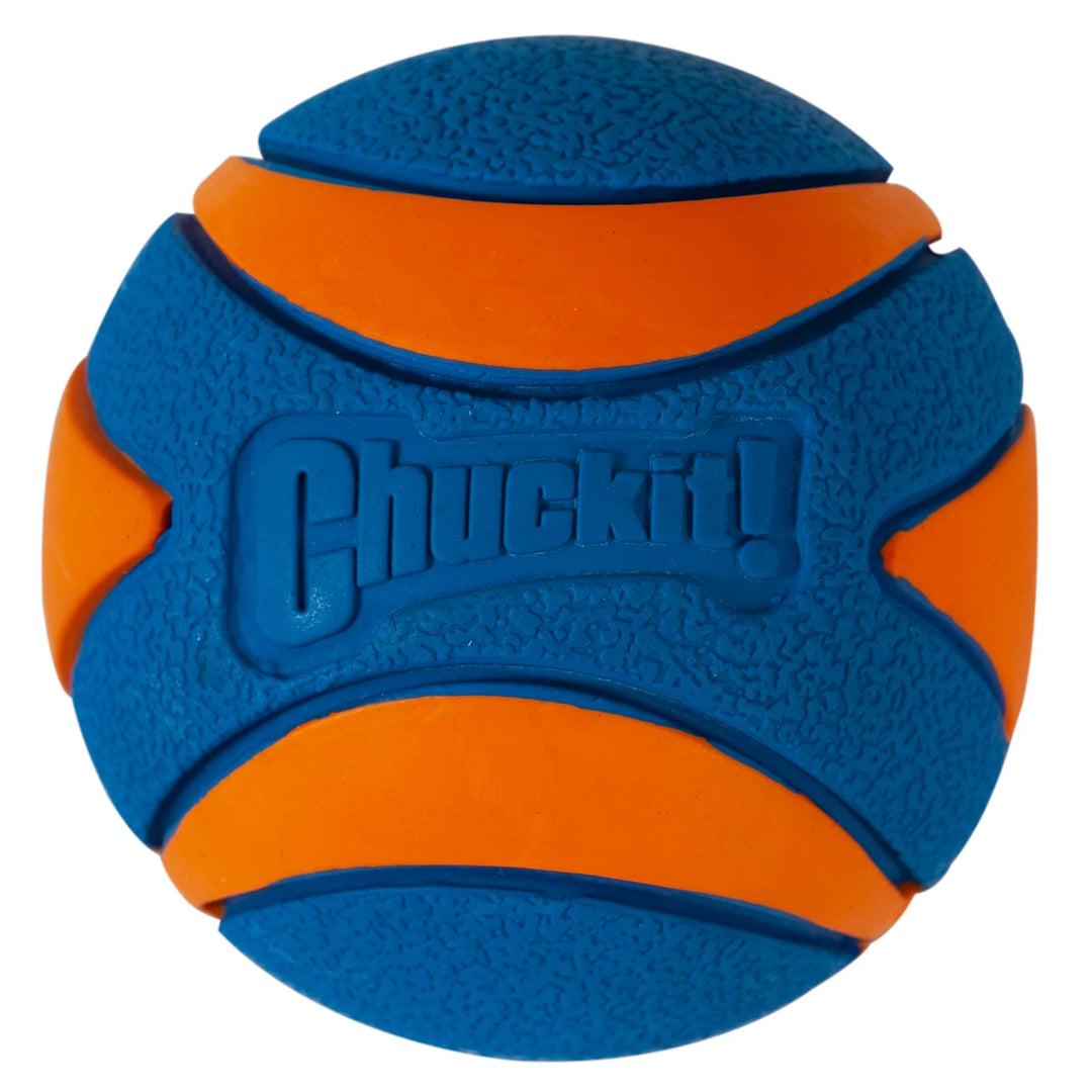 Chuckit! - Ultra Squeaker Ball (Large)