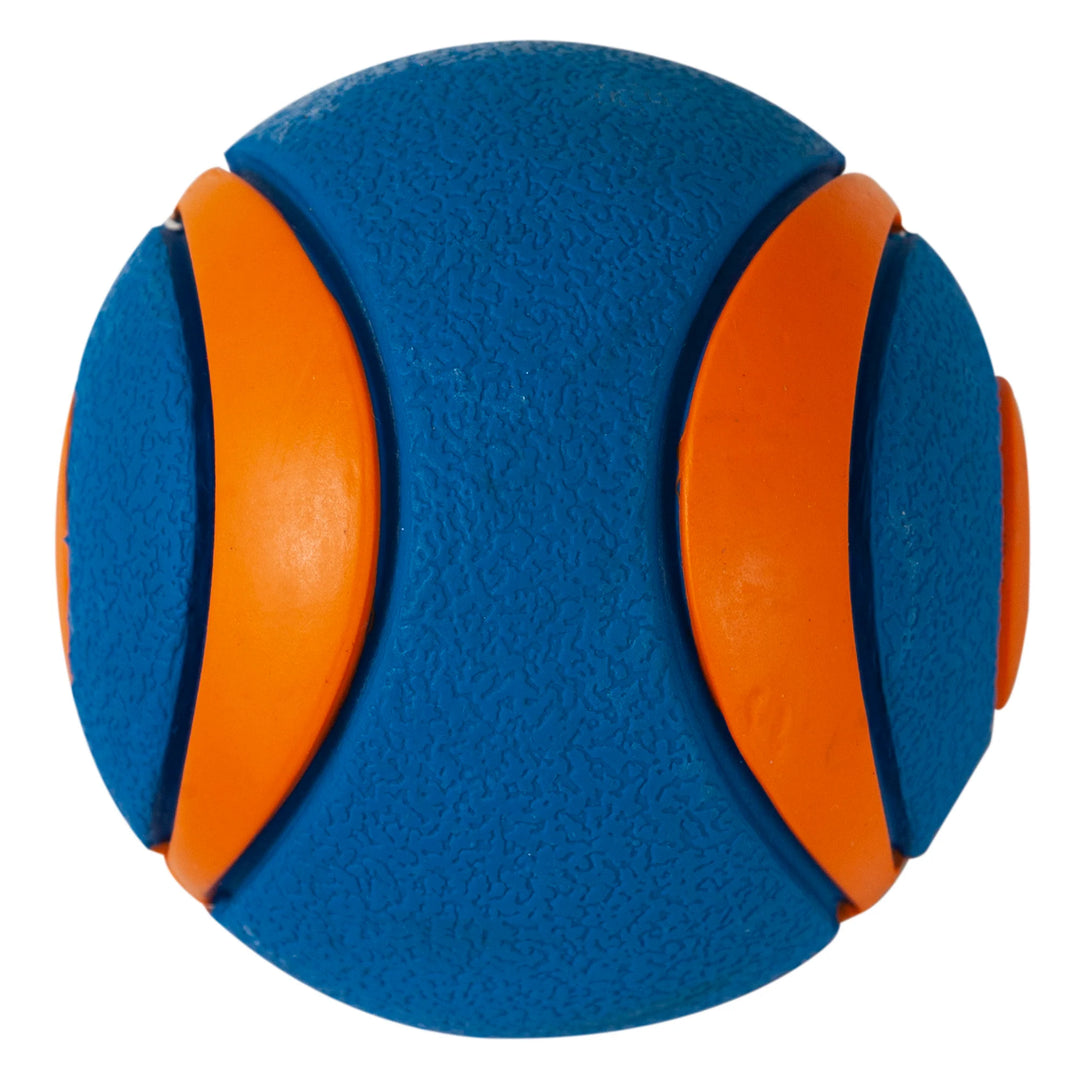 Chuckit! - Ultra Squeaker Ball (Large)