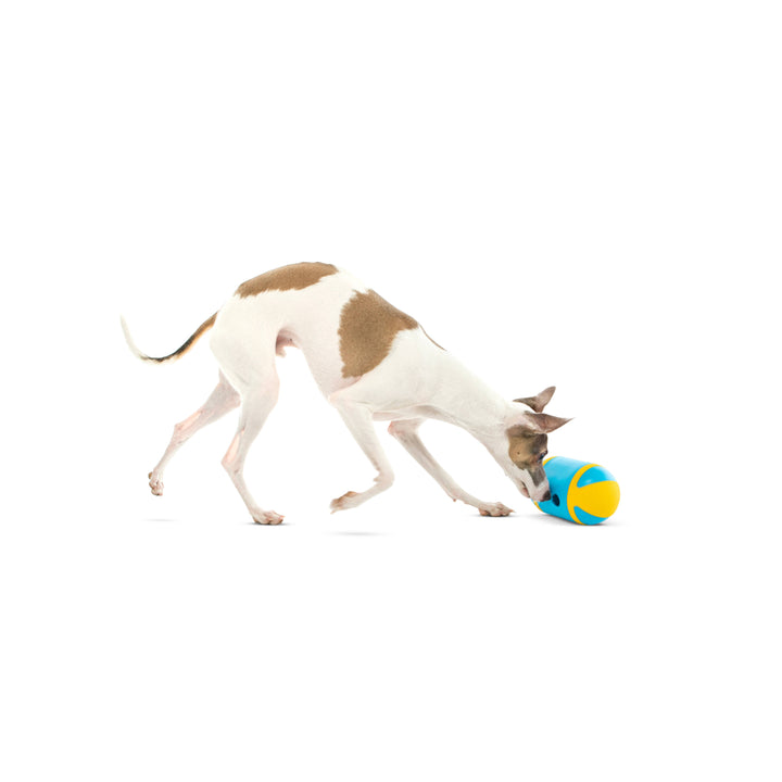 GURU Pet - Rock 'N Treat Interactive Dog Toy