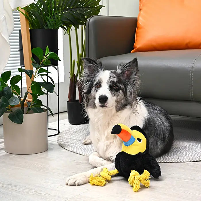 Dog Toy: Toucan Rope Toy