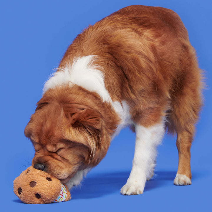 Dog Toy: BARK Funfetchi Sniffwich