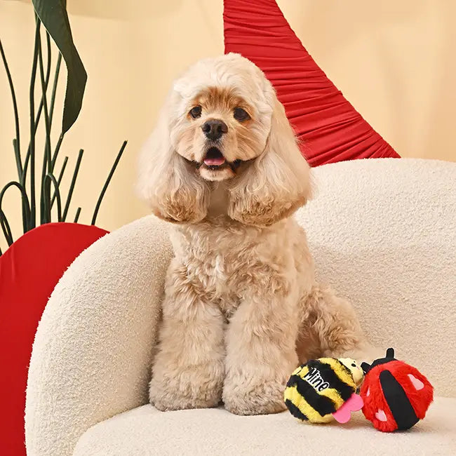 Dog Toy: Love Bug Ball Toy