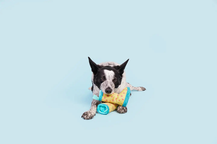 Dog Toy: BARK - Smelly Wellies