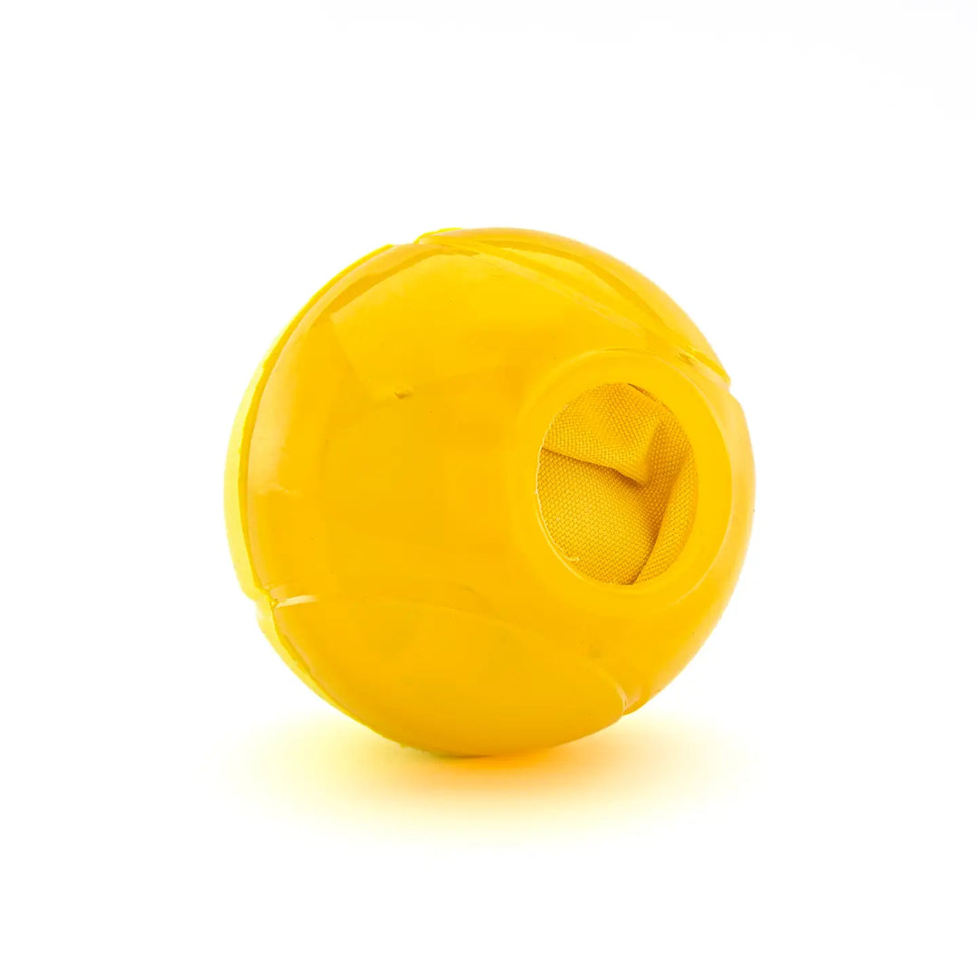 Dog Toy: Guru Pet Bonanza Ball