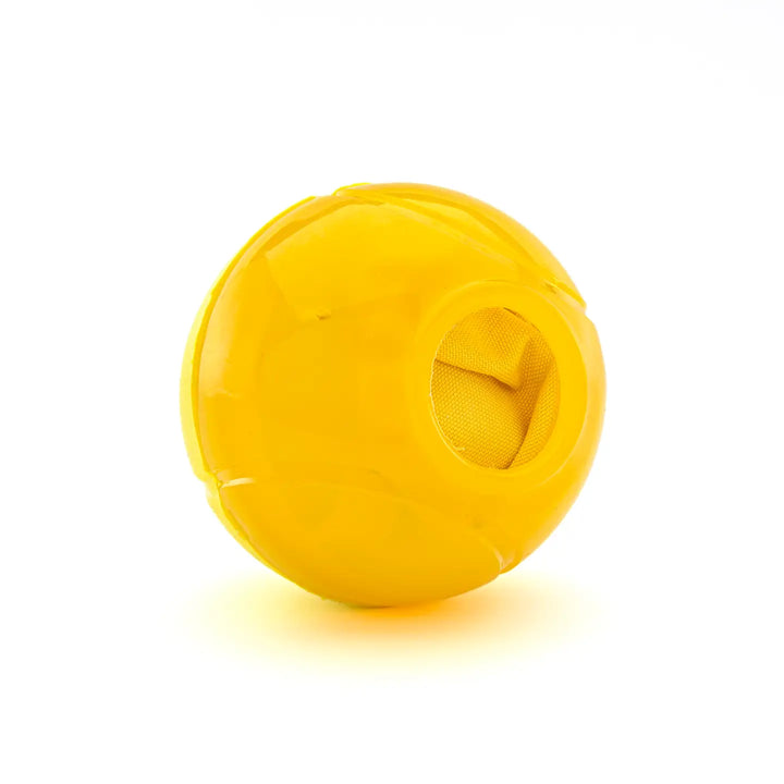 Dog Toy: Guru Pet Bonanza Ball