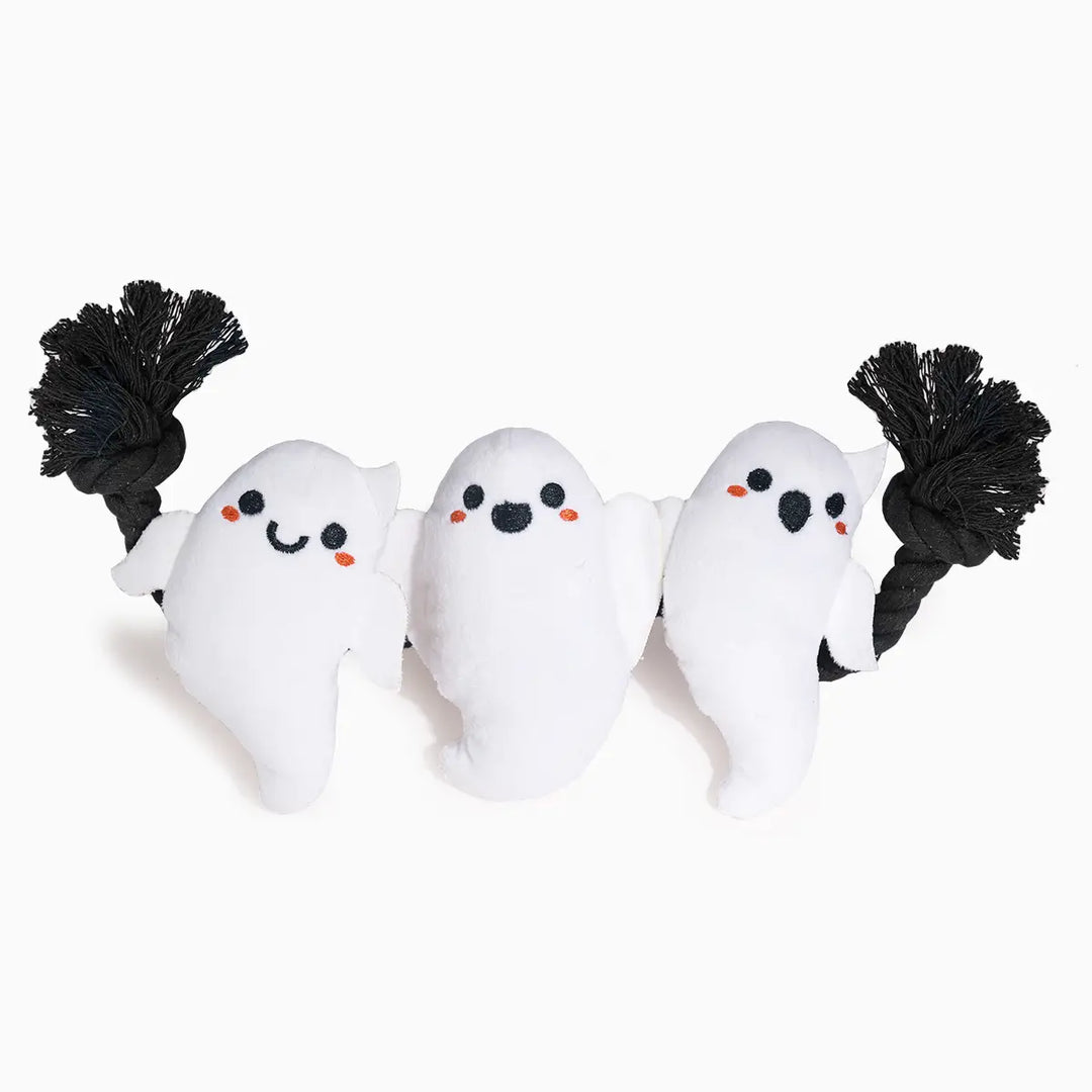Dog Toy: Ghost Rope