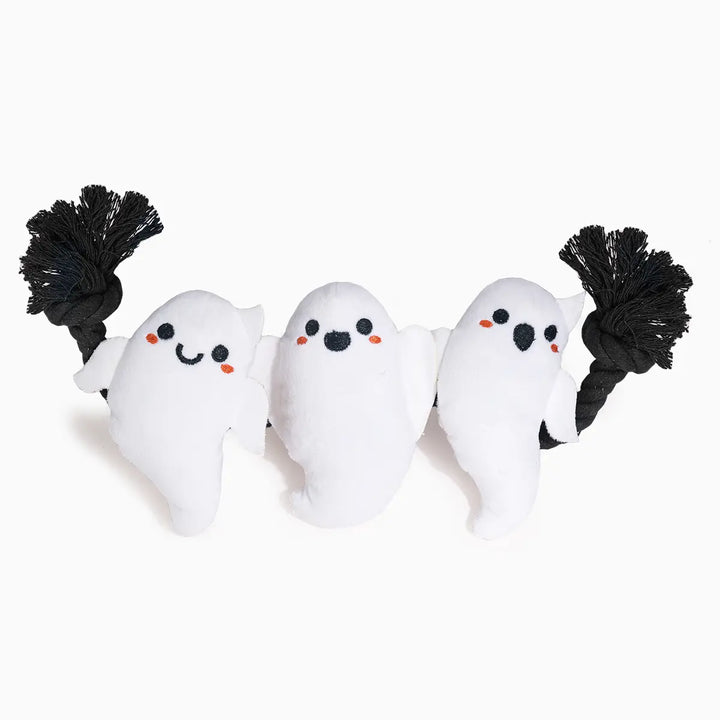 Dog Toy: Ghost Rope