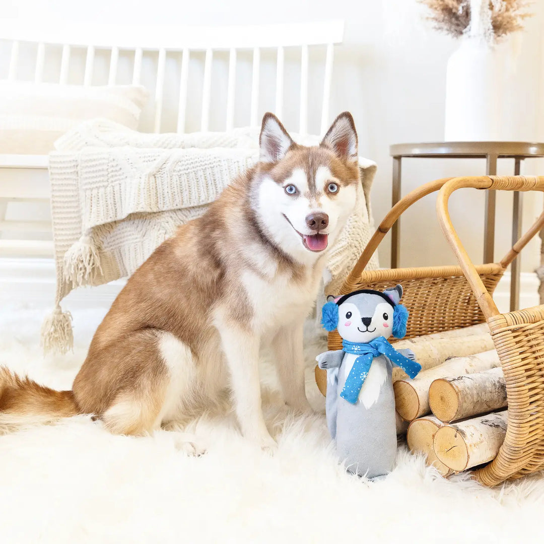 Dog Toy: Looking Cool Plush