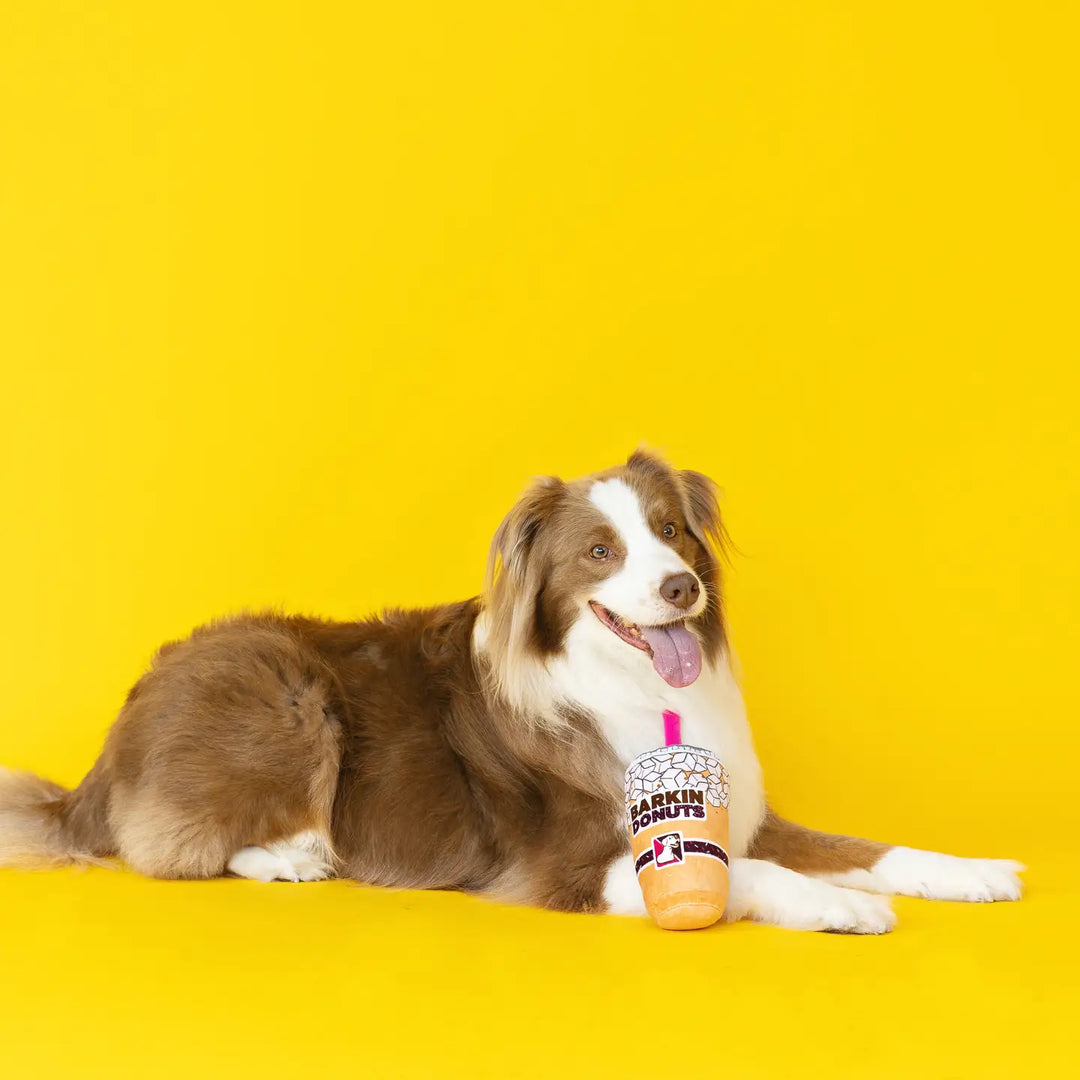 Dog Toy: Barkin Donuts Plush