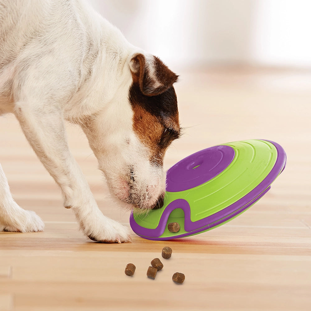 Treat Maze Interactive Dog Puzzle Toy