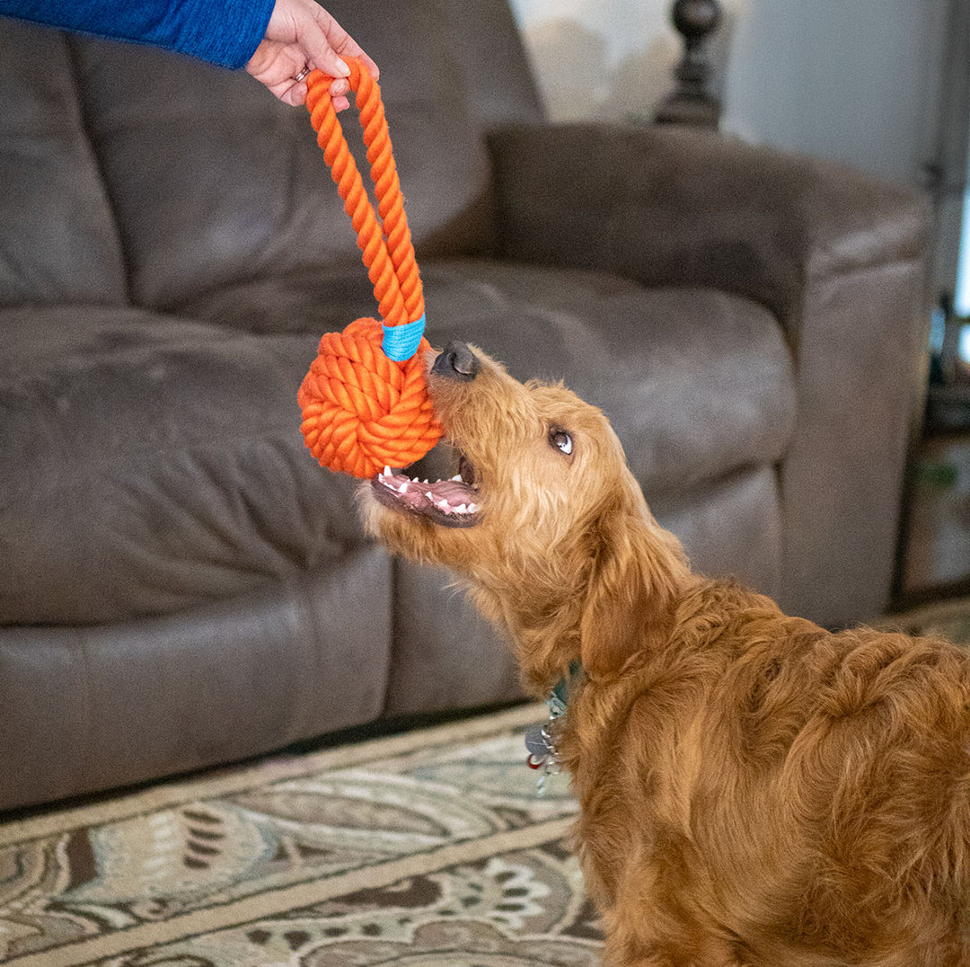 Dog Toy: Tug Rope with Handle Orange 5"