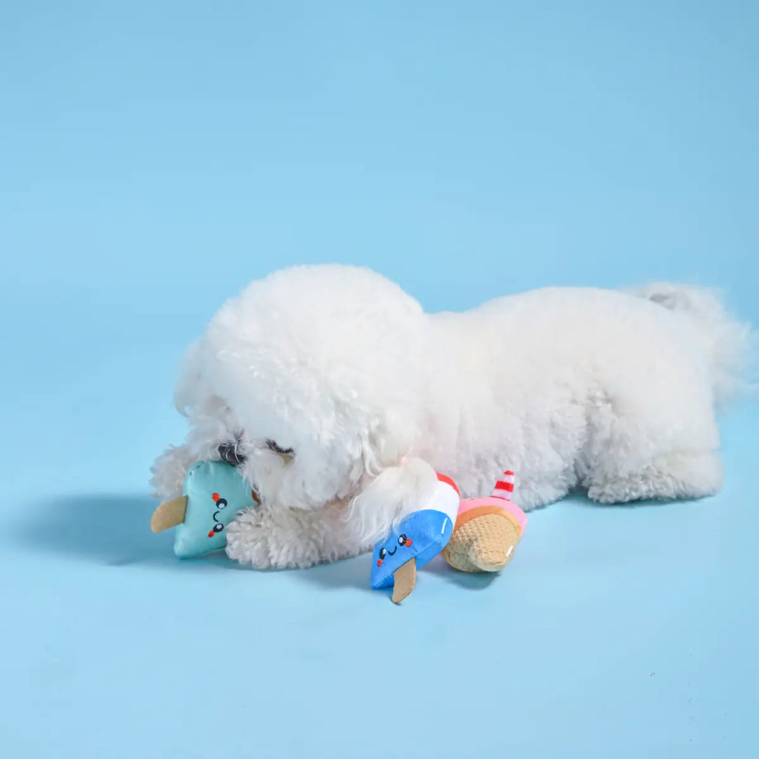 Dog Toy: Cool Pup