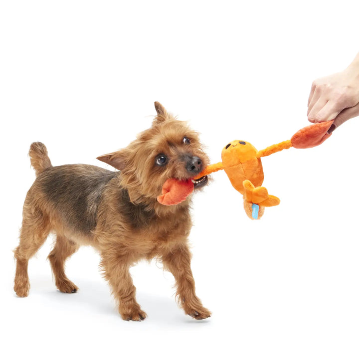Dog Toy: BARK Della Crawfish Plush