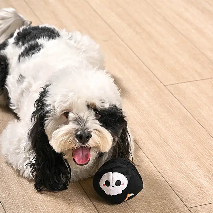 Dog Toy: Grim Reaper Ball