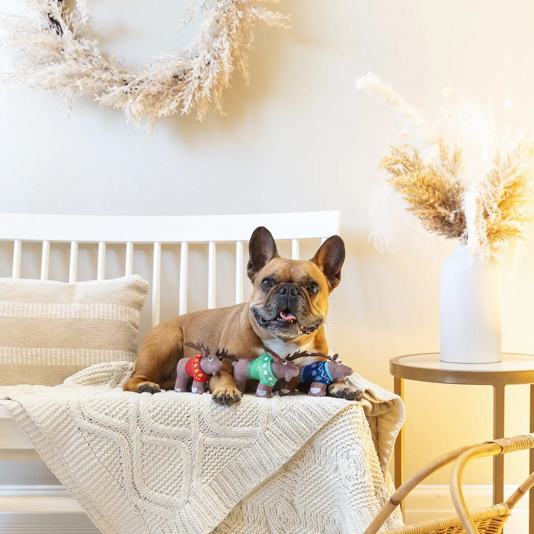 Dog Toy: Merry Moose-mas