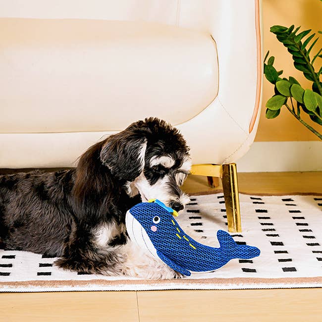 Dog Toy: Whale Plush