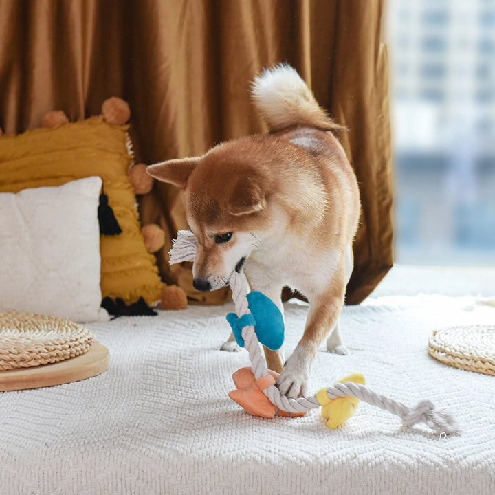 Dog Toy: Shell Necklace Rope Toy