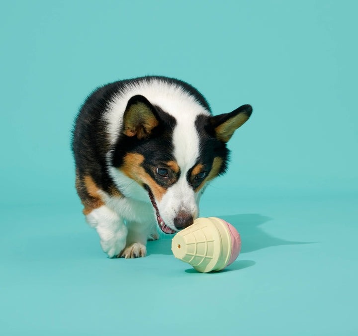 BARK - Super Chewer I-Squeak Cone Dog Toy