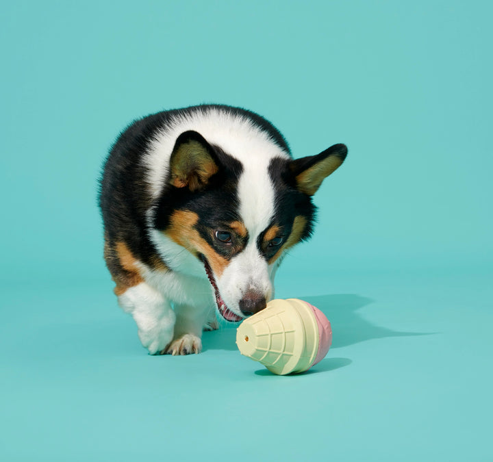 Dog Toy: BARK I-Squeak Cone Super Chewer