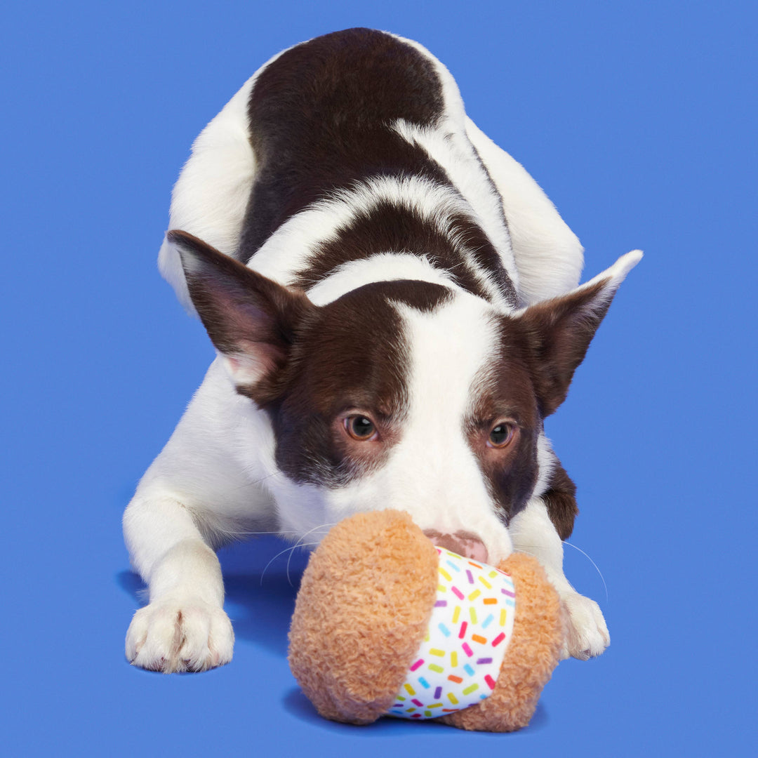 Dog Toy: BARK Funfetchi Sniffwich