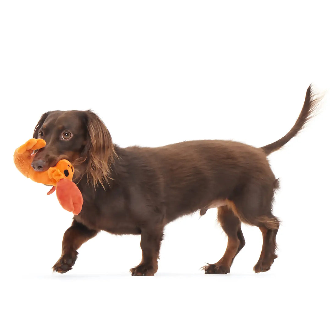 Dog Toy: BARK Della Crawfish Plush