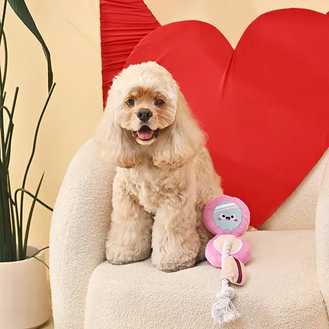 Dog Toy: Cushion Foundation Toy