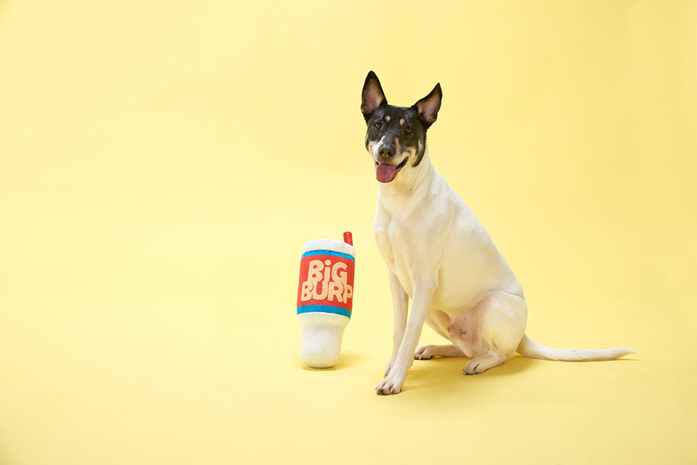Dog Toy: BARK - Big Burp Slurp