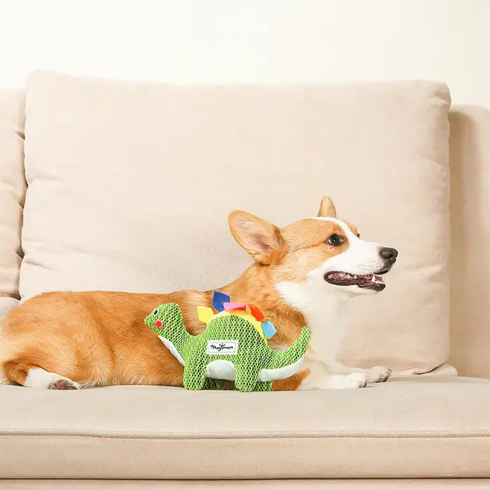 Dog Toy: Colorful Dino Plush