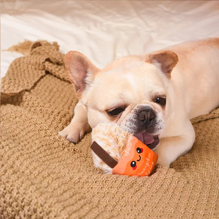 Dog Toy: Pumpkin Play Mini Plush Toys