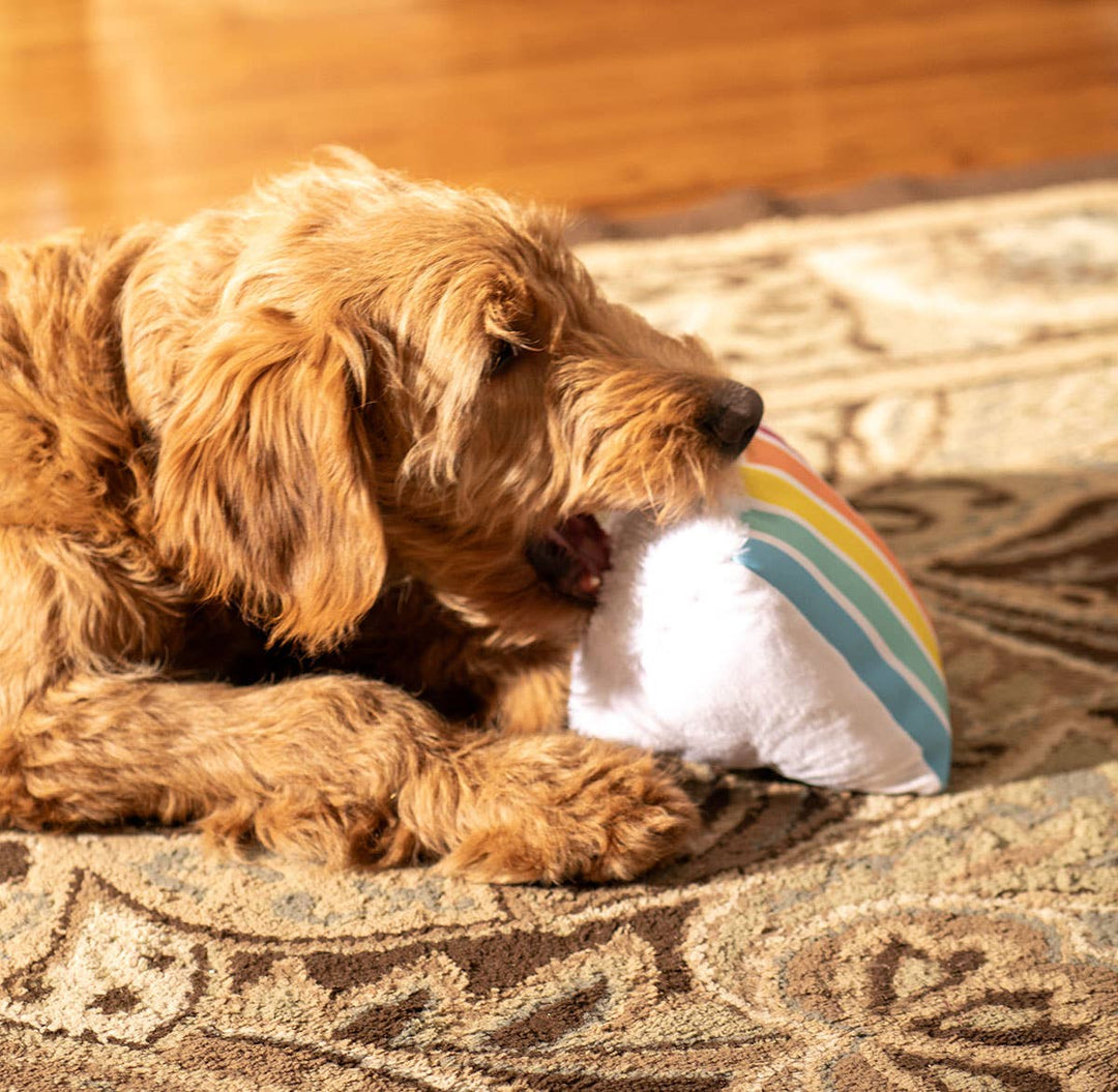 Birthday 5-Layer Cake Plush Dog Toy