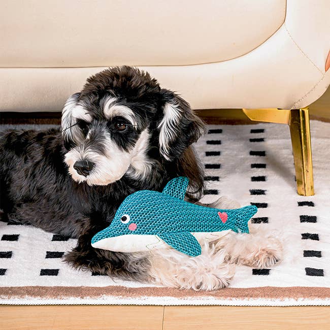 Dog Toy: Dolphin Plush