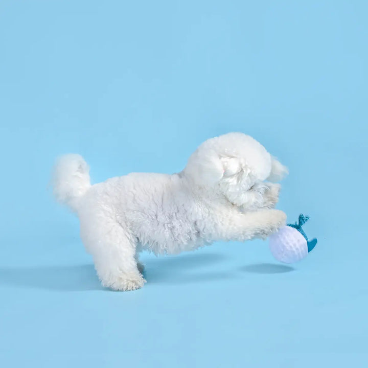 Dog Toy: Dolphin Ball