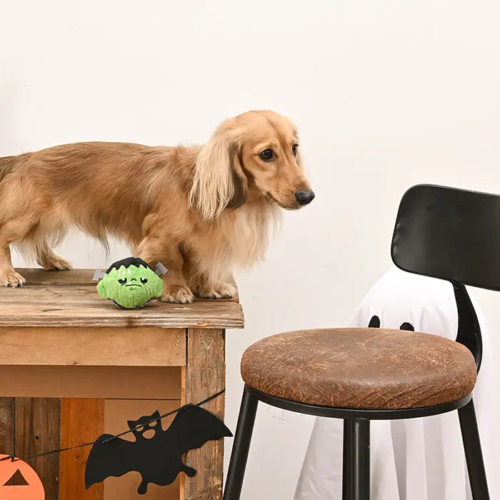 Dog Toy: Frankenstein Ball