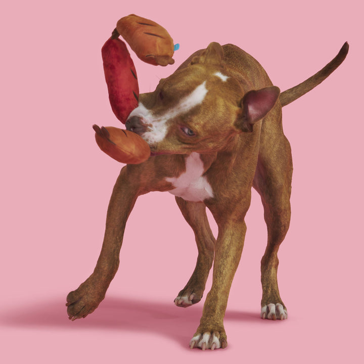 BARK - Lickin' Links Dog Toy