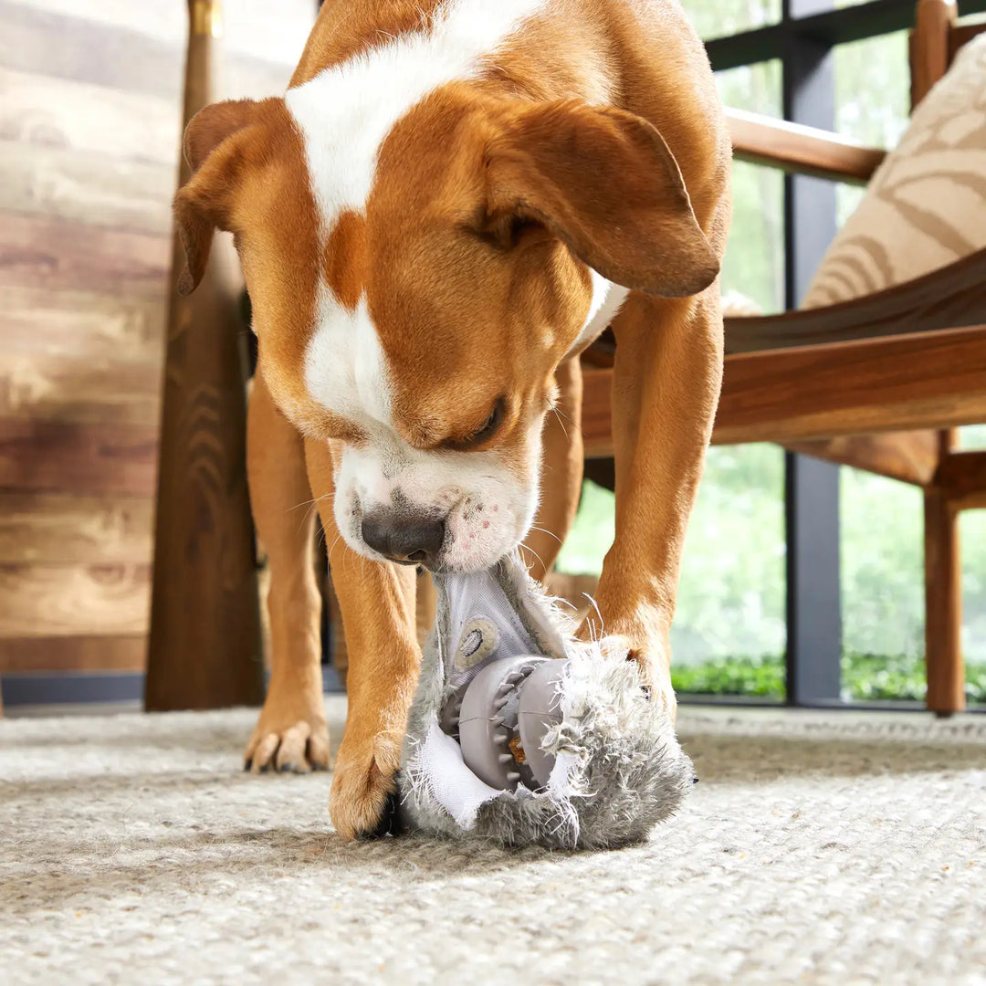 Dog Toy: BARK - Hare Raiser Rabbit Super Chewer