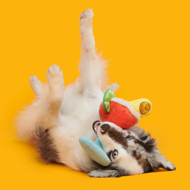 Dog Toy: BARK Bulldog Barkarita Plush
