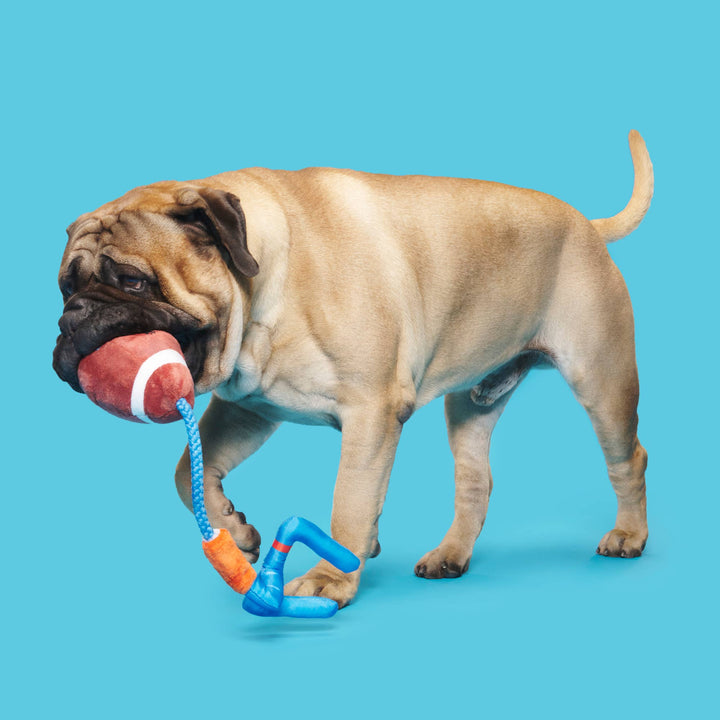 Dog Toy: BARK The Whole Canine Yards Plush Toy