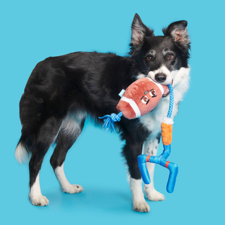 Dog Toy: BARK The Whole Canine Yards Plush Toy