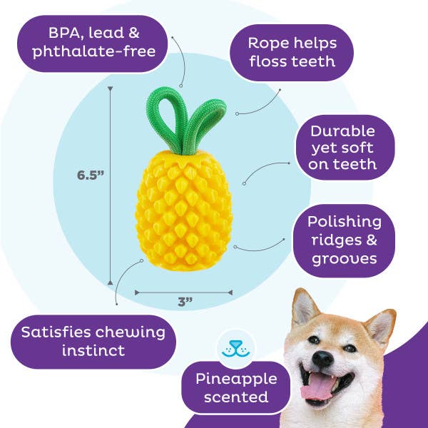 Planet Dog - Dental Pineapple Dog Chew Toy