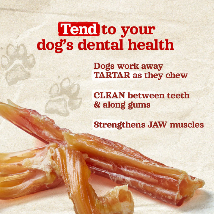 Chew Bar (Single): Beef Tendon