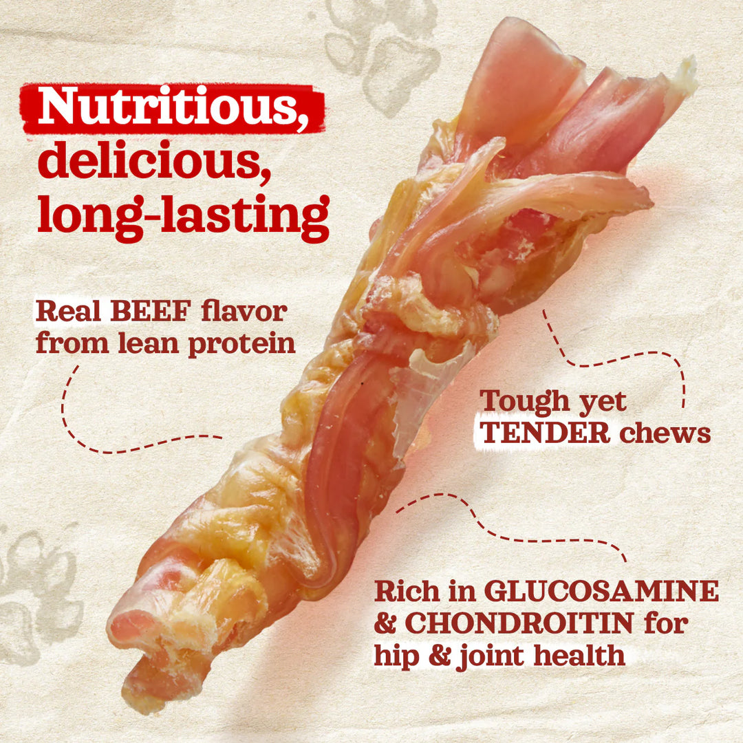 Chew Bar (Single): Beef Tendon